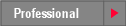 Professional
